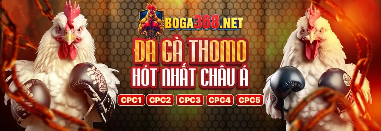 Cá cược thể thao sôi động tại 23win01 Code